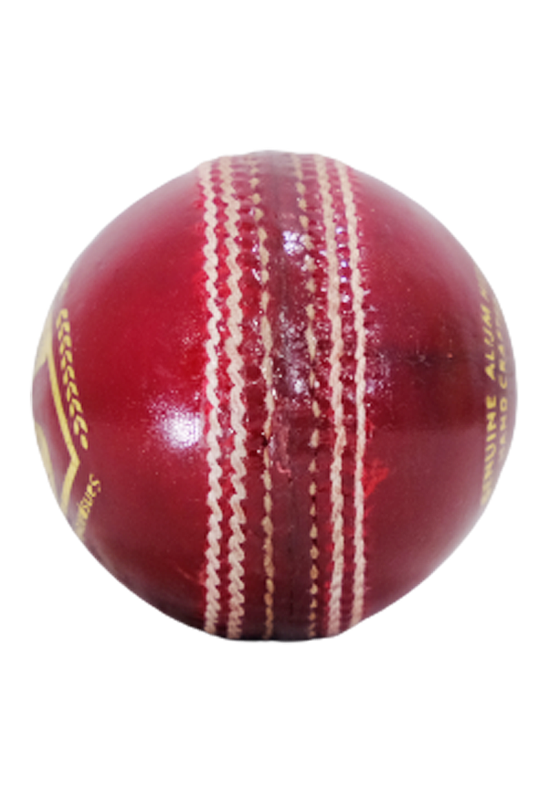 SG BOUNCER  CRICKET LEATHER BALLS-( PACK OF 12 )